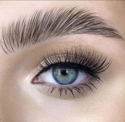 Close-up of laminated brow and blue eye with curled lashes